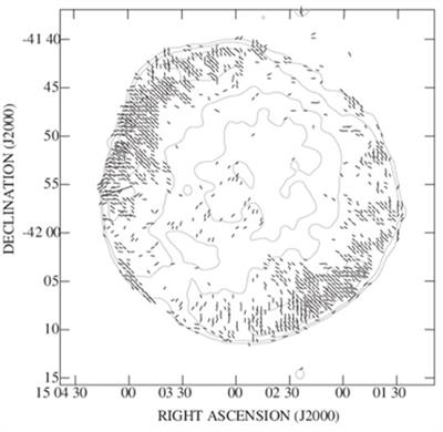 Diagnosing Turbulent Magnetic Field in Supernova Remnants